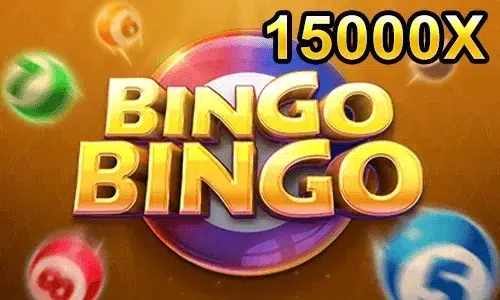 Bingo Bingo